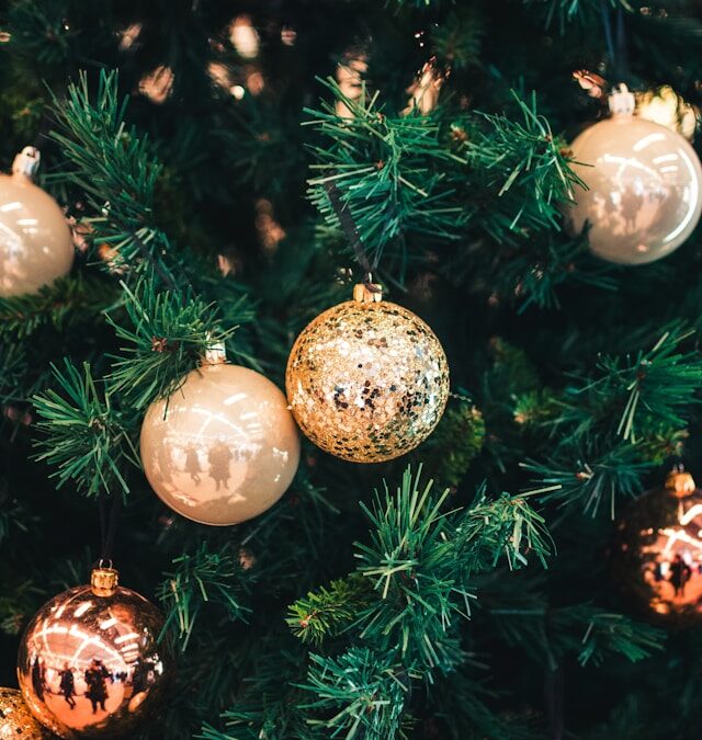 Christbaumkugelschießen am 15.12.2024